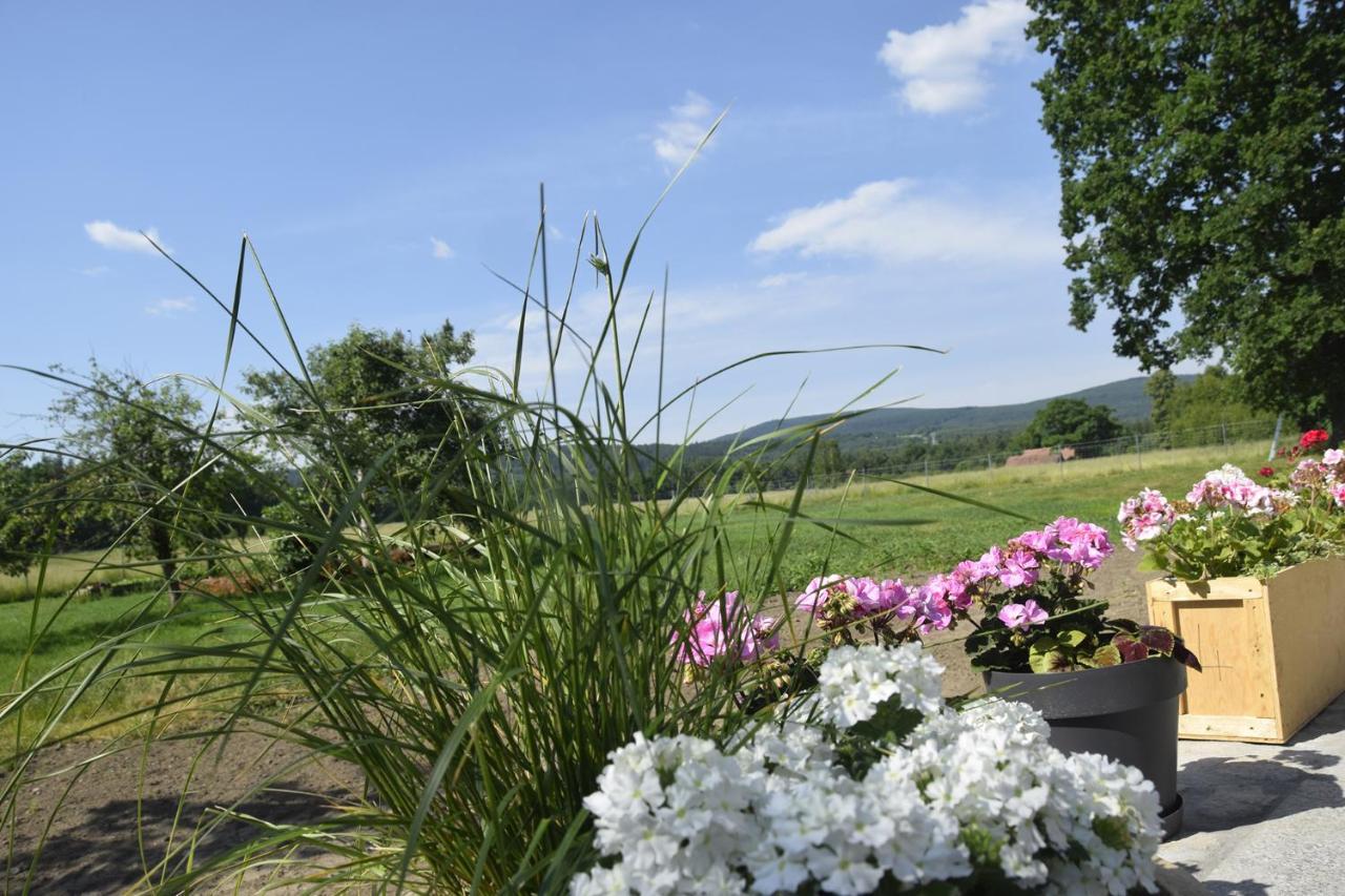 Nowa Kamienica 11 Villa Stara Kamienica Luaran gambar